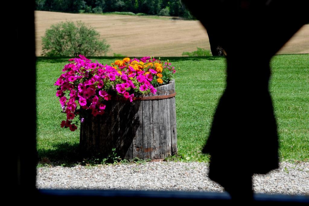 Agriturismo Castello Saltemnano บูอนคอนเวนโต ห้อง รูปภาพ