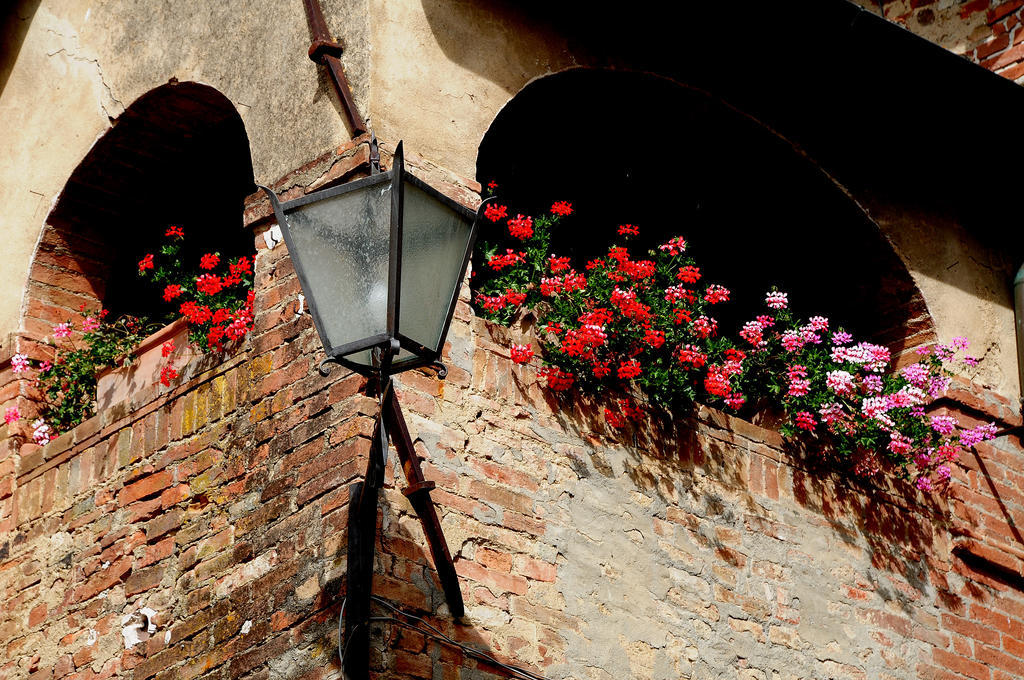 Agriturismo Castello Saltemnano บูอนคอนเวนโต ภายนอก รูปภาพ