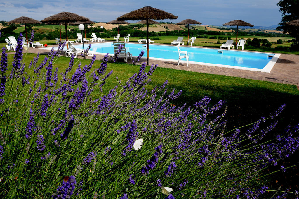 Agriturismo Castello Saltemnano บูอนคอนเวนโต ภายนอก รูปภาพ