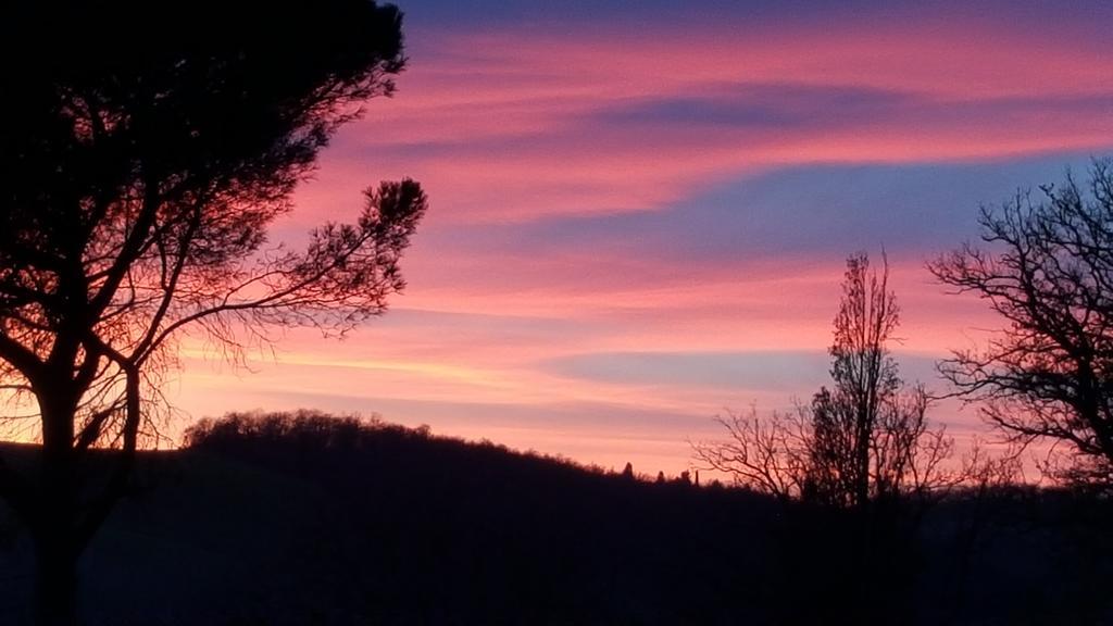 Agriturismo Castello Saltemnano บูอนคอนเวนโต ภายนอก รูปภาพ