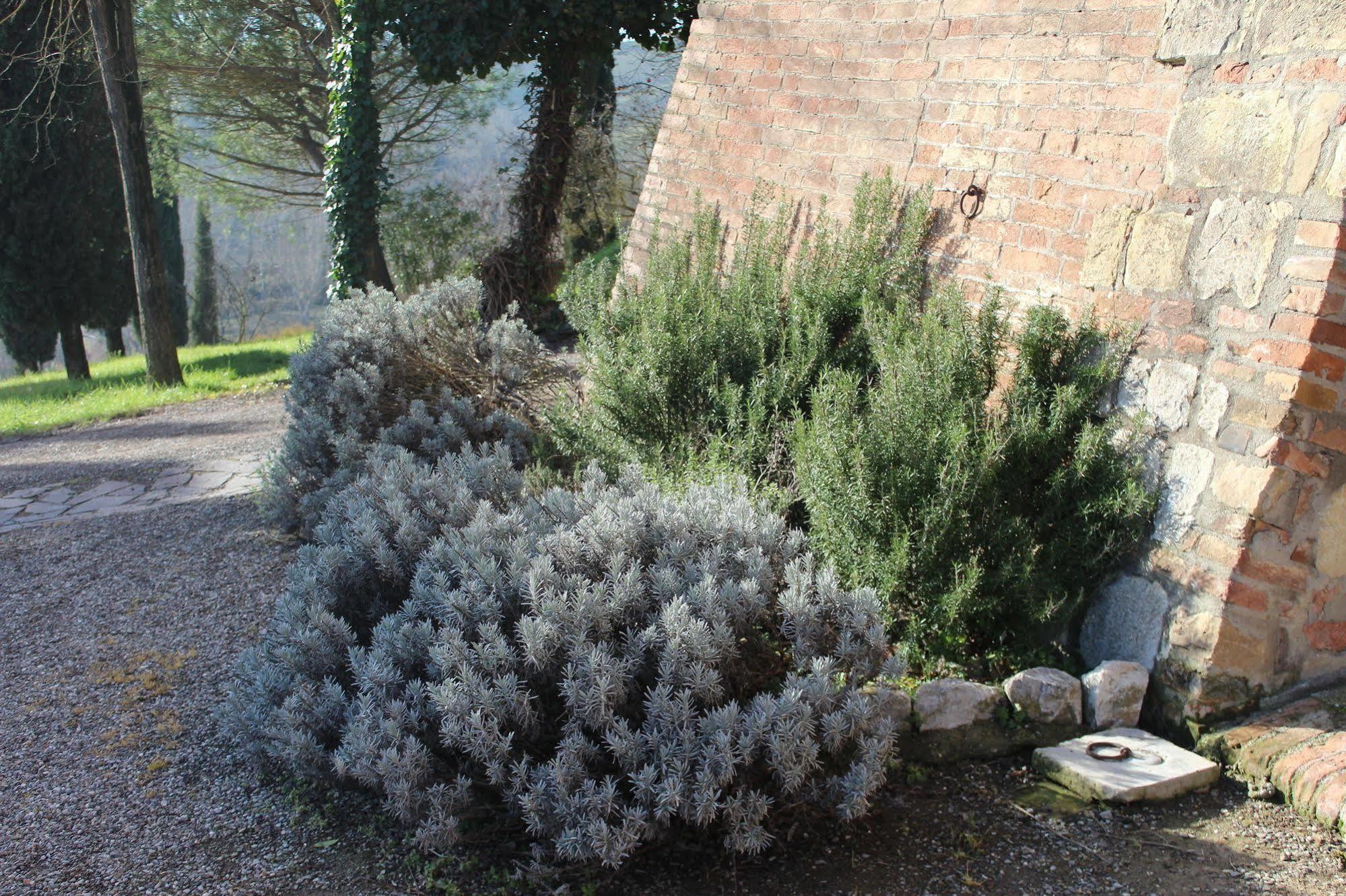 Agriturismo Castello Saltemnano บูอนคอนเวนโต ภายนอก รูปภาพ